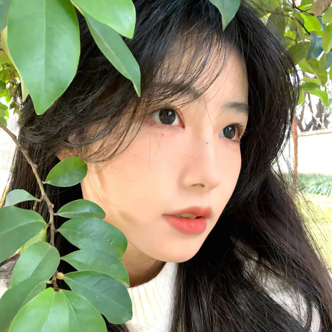 重回秘密花园